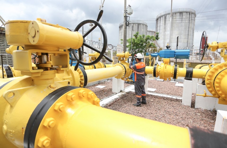 CIGAS-_Amazonas-evita-emissao-de-gases-de-efeito-estufa_foto-divulgacao-Cigas