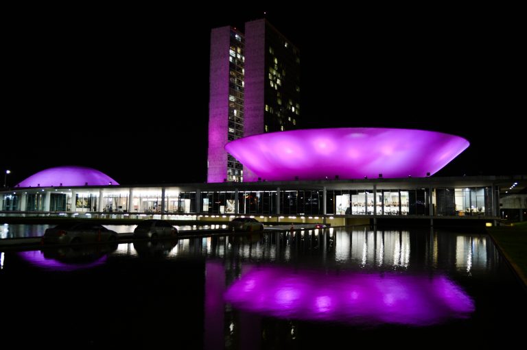 congresso-nacional-iluminado-de-roxo-pelo-dia-mundial-da-conscientizao-da-epilepsia-purple-day-768×511-1